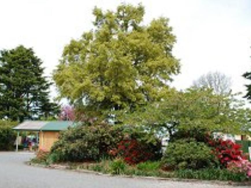 Coronation Park Motels Ashburton Extérieur photo